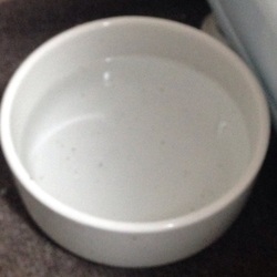 「猫グッズ放浪記  水飲み編」サムネイル1