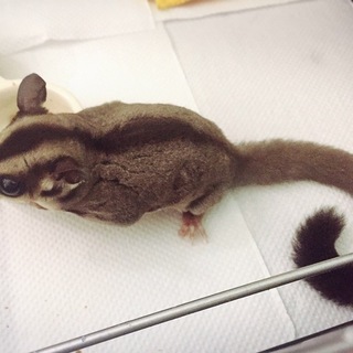 ご応募くださった方々ありがとうございました！