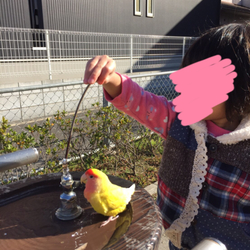 良いお年を♡