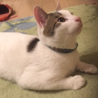 人が大好き　側が大好き