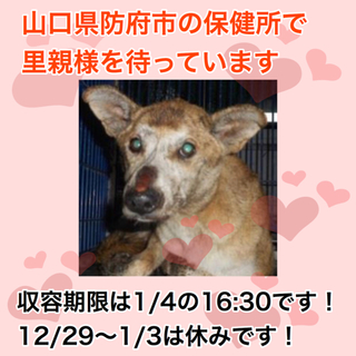 1/4が期限です！