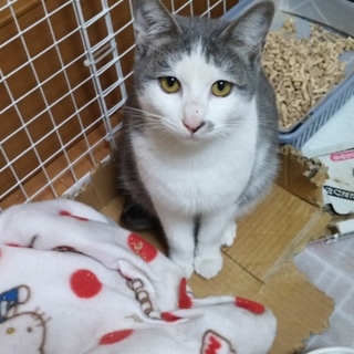 人慣れバツグンな僕を貰ってください！