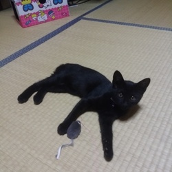 咲来と今年を振り返る