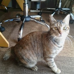 今年一年ありがとう！