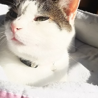 ありがとうございました！