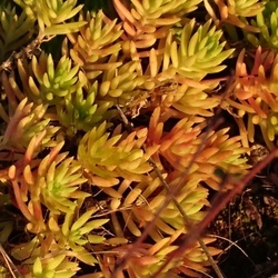 2016年も沢山の出会いがありました