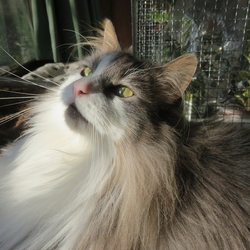 「2017年」サムネイル2