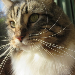 「2017年」サムネイル3