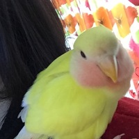 キキ