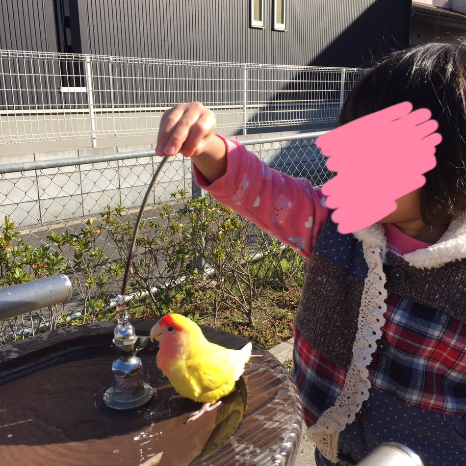 キキのカバー写真