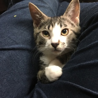 28年9月末生まれ男の子 卒園