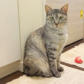 4/9銀座★初開催♪キャンディちゃん★のほほ～ん