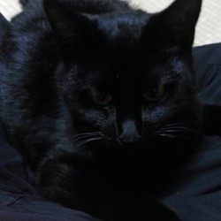 珍しく可愛いく撮れたので