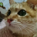まんまる甘えん坊の男の子