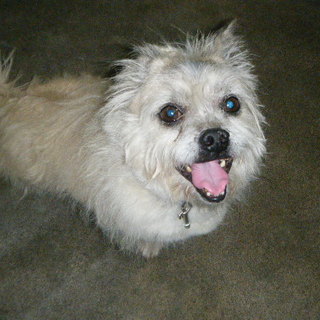 こぼれそうなまん丸おめめが可愛い男の子