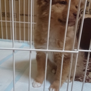 大至急！！お願いします‼