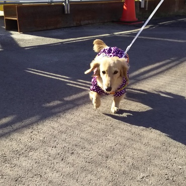 抱っこしてー❗