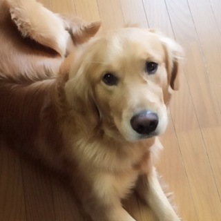 家族になってください。