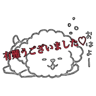 素敵な里親様が決まりました☆彡.。