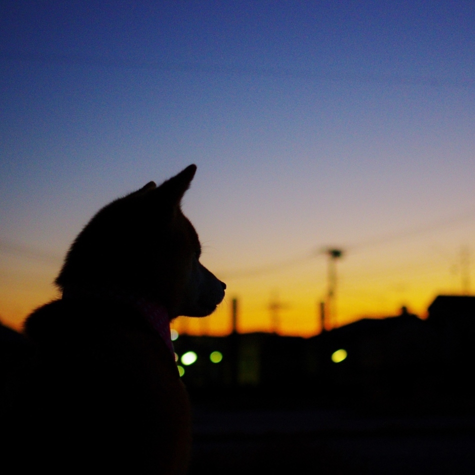優気(ゆき)のカバー写真