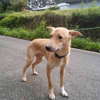 優しい男の子「だいず」くん