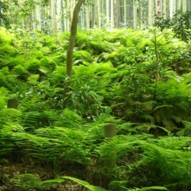 ままちんのカバー写真