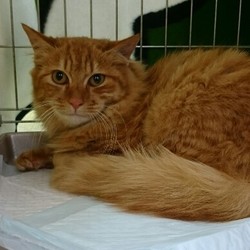 新年一発目！気合いのお見合い会～！IN大府市