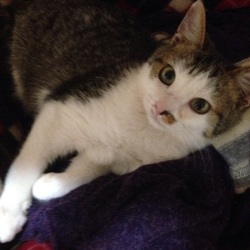 新年一発目！気合いのお見合い会～！IN大府市 サムネイル2