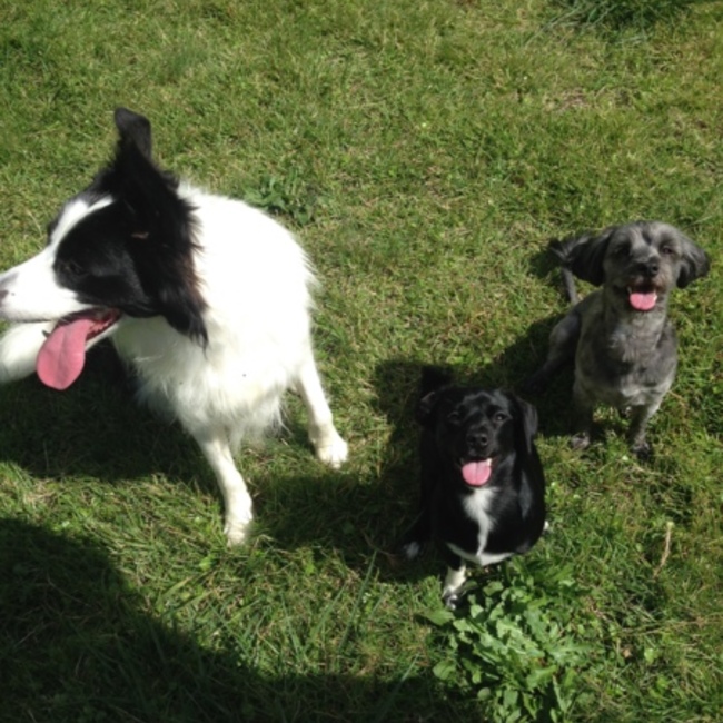 りの☆りののカバー写真