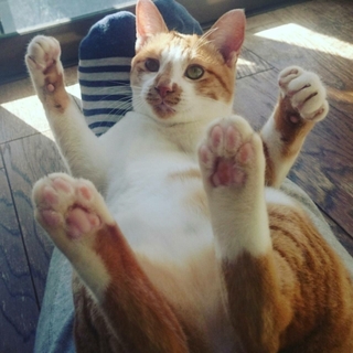 超超超甘えっ子です！永遠の家族募集中！