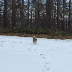 明けましておめでとうございます♪