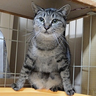 ビビりだけど元気いっぱい☆みすず