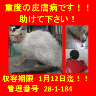 亡くなりました。