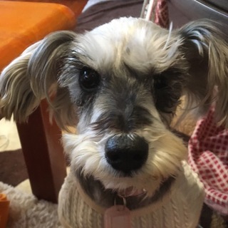 とにかく元気な女の子♪