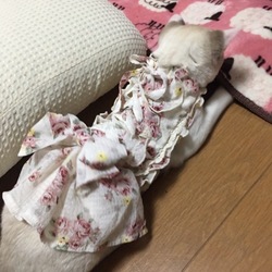 「お着替え」サムネイル2