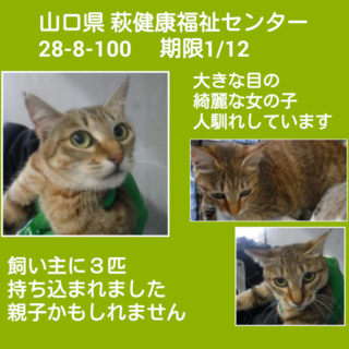 センターにお迎えあり!! ありがとうございました