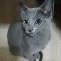 みゅう