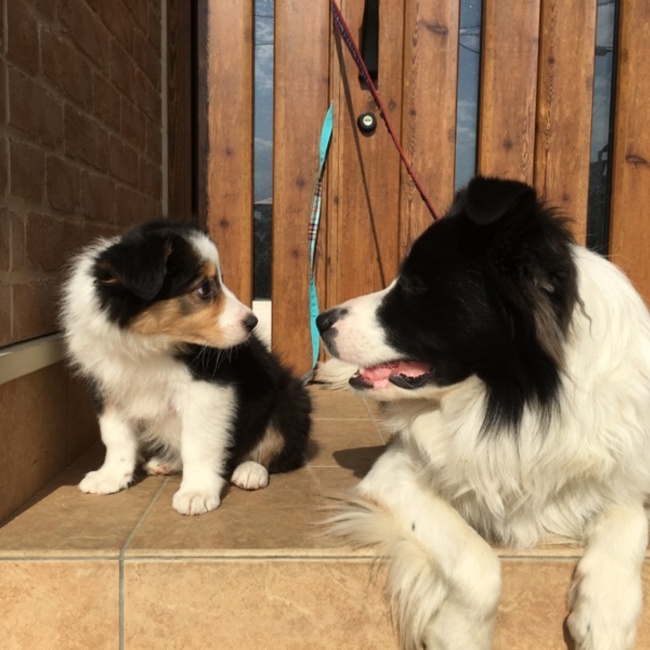 ★はるさめ★のカバー写真