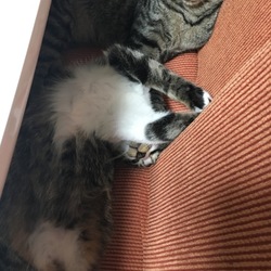 「明けましておめでとうございます」サムネイル1