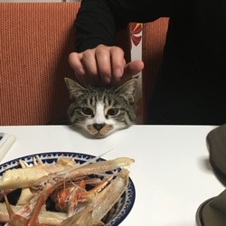 「明けましておめでとうございます」サムネイル2