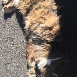 2016.12.03 保護当日