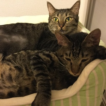 こんなに仲良し！大きくなったね〜