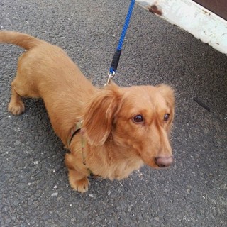 申し訳ございません。