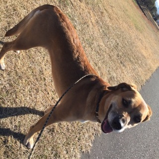 ☆優しいオリーブ☆