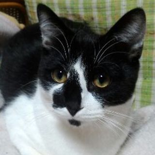 愛嬌たっぷりシオクン