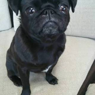 一度募集を止めます‼順々に返信します！