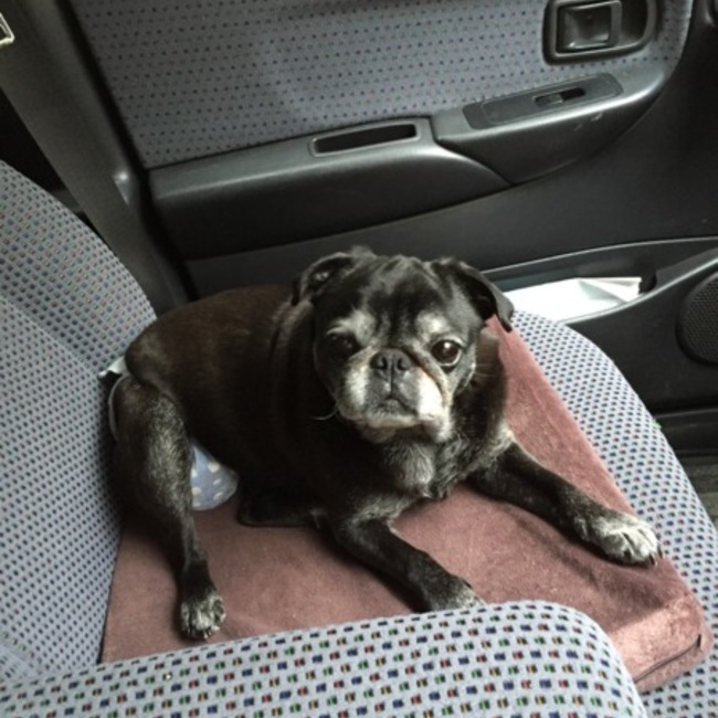 助太郎のカバー写真