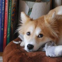 つぼみが花開くように