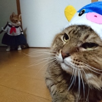 虎次郎