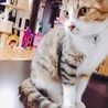 うめ